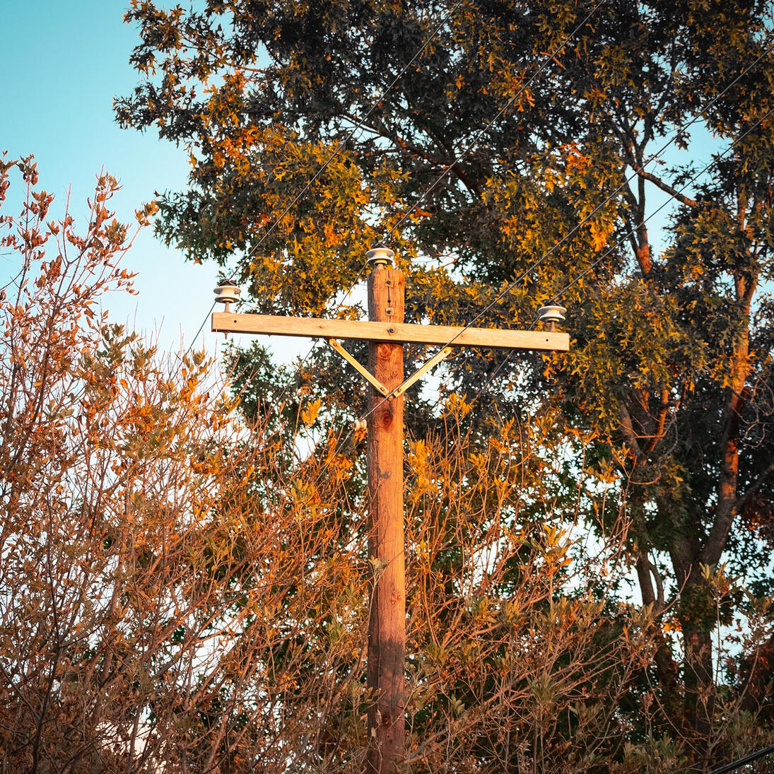 Indoor Swimming - Grayscale Weather / Crisp Clarity: Artist, Producer, Mixer
