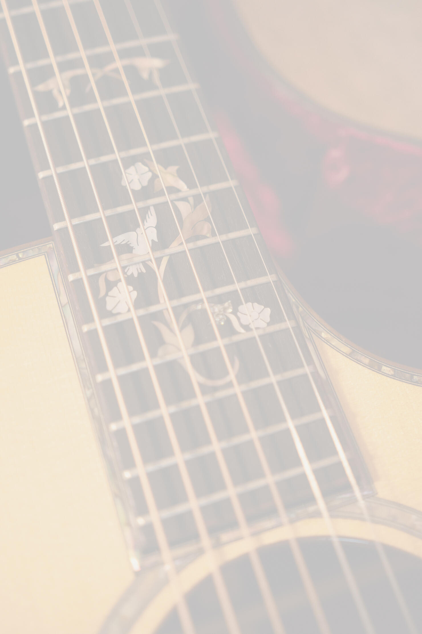 Guitars Taylor 914c Alvarez-Yairi DYM75 Alvarez-Yairi AYL-1 Córdoba GK Studio Limited Ovation AA 51 Fender Telecaster Fender Stratocaster Schecter Model-T Session Bass Crate CA30 Amp